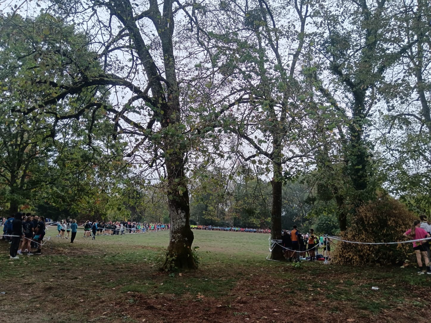 IMG-20261007-WA0005